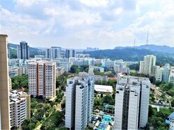 Blk 293C Skypeak @ Bukit Batok (Bukit Batok), HDB 5 Rooms #470409521